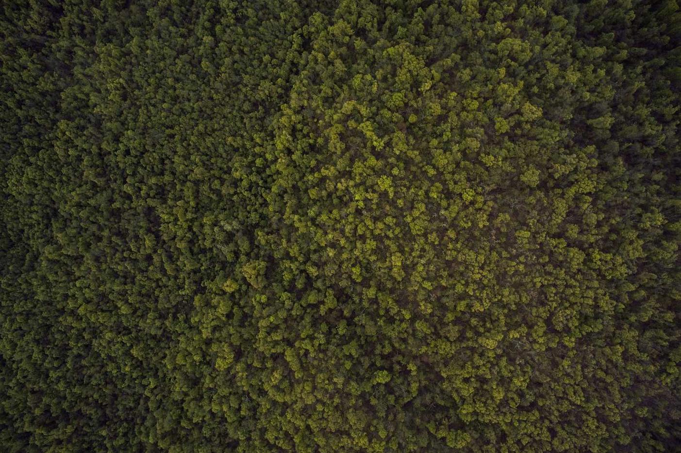 Doloribus porro beatae est provident cumque