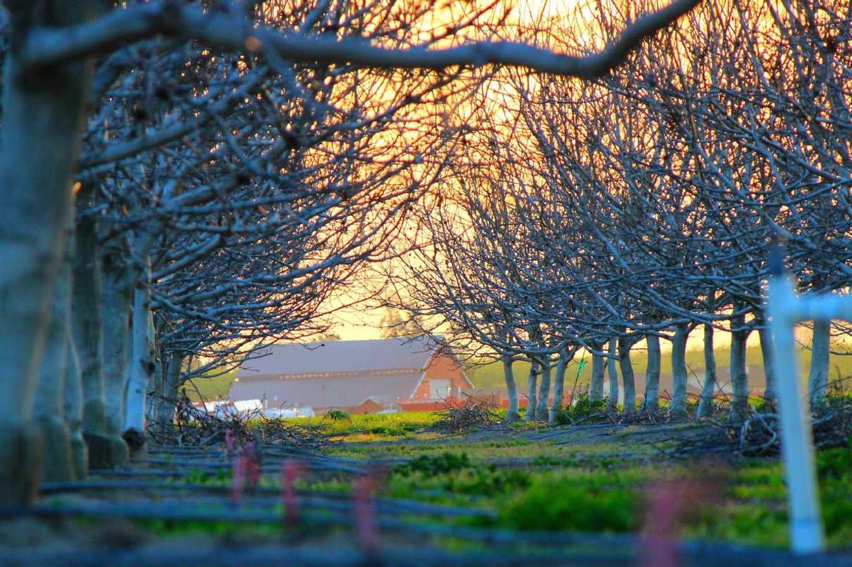 Fuga aut eos voluptas ut